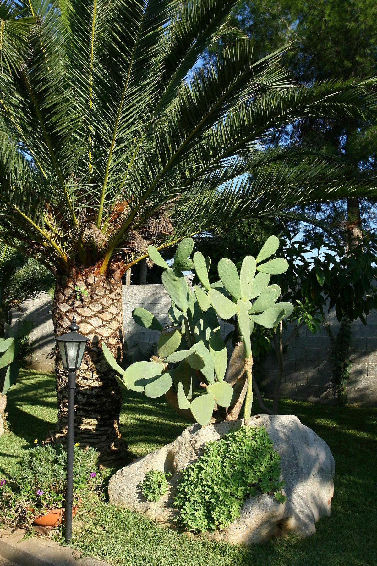 Lecce Guesthouse エクステリア 写真