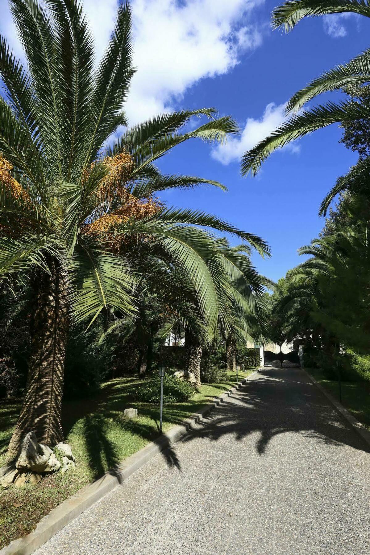 Lecce Guesthouse エクステリア 写真